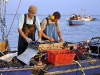 Consorzio pescatori del Polesine